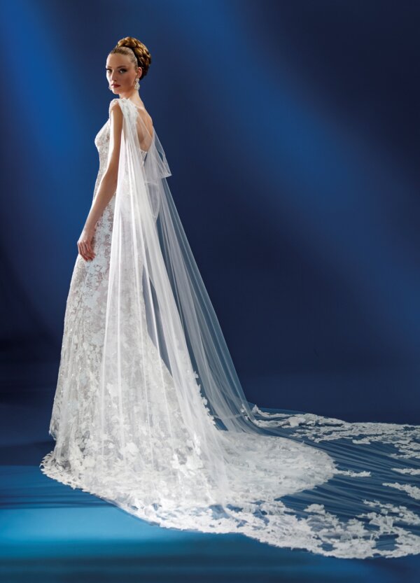 Boss Hochzeithaus Winsen Luhe Brautkleider Bremen Hamburg Lüneburg Atelier Pronovias Edeline Niedersachsen (3)