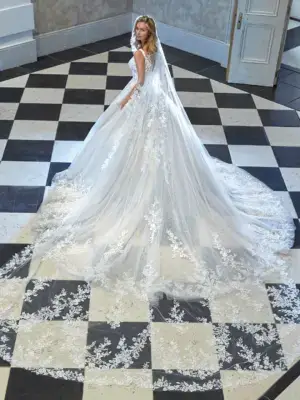 Boss Hochzeithaus Winsen Luhe Brautkleider Bremen Hamburg Lüneburg Demetrios Platinum DP466 Niedersachsen (2)