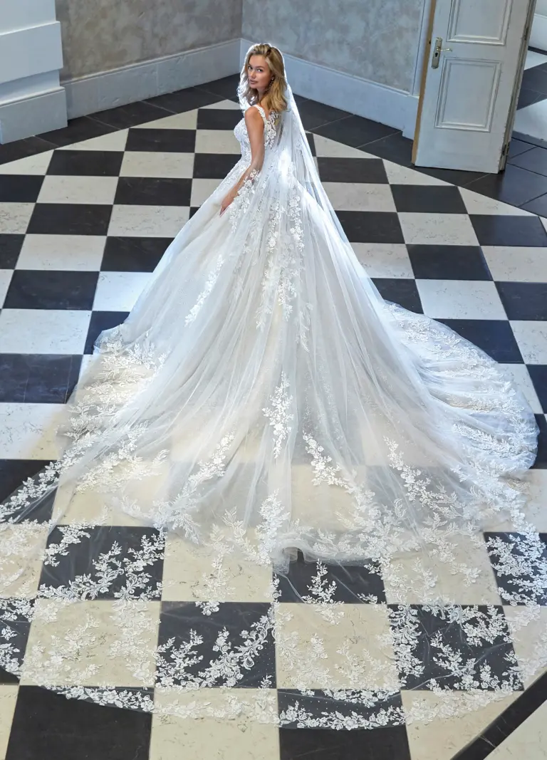 Boss Hochzeithaus Winsen Luhe Brautkleider Bremen Hamburg Lüneburg Demetrios Platinum DP466 Niedersachsen (2)