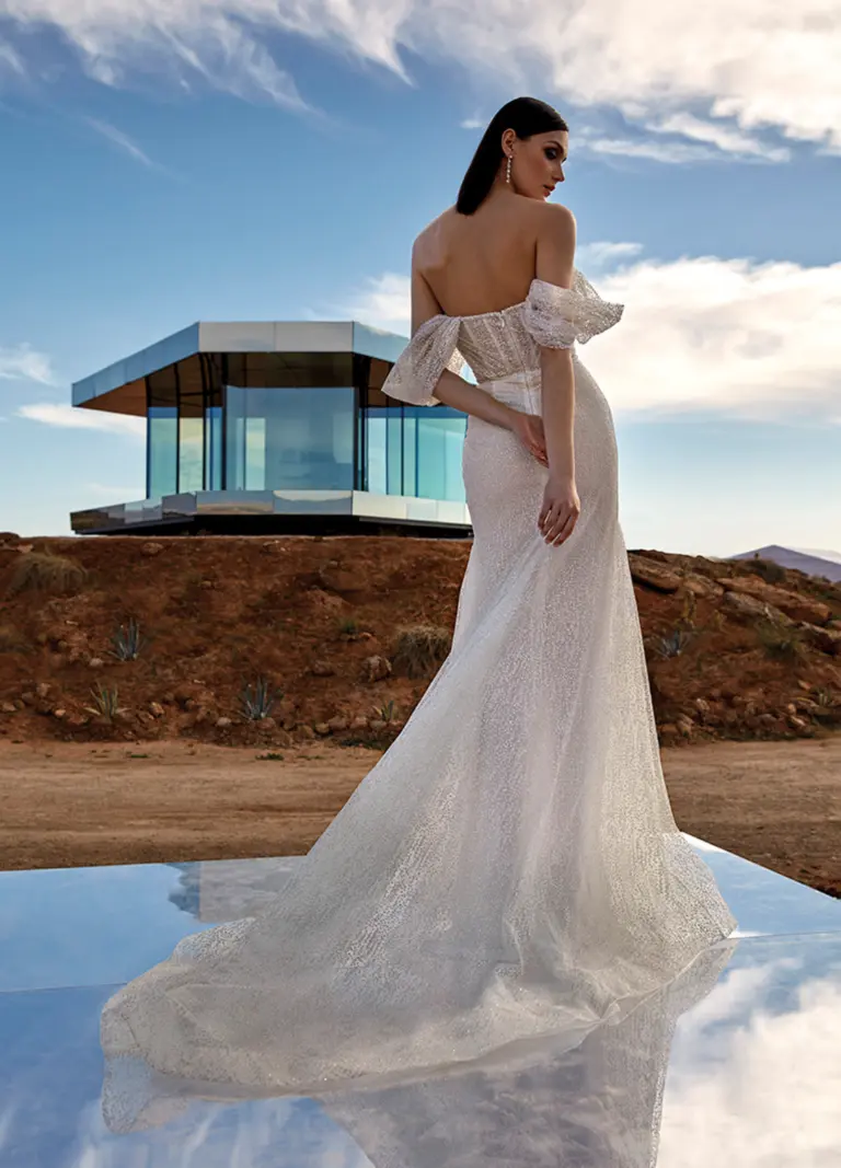 Boss Hochzeithaus Winsen Luhe Brautkleider Bremen Hamburg Lüneburg Hannover Lübeck Harburg Pronovias Sparkle Niedersachsen (2)
