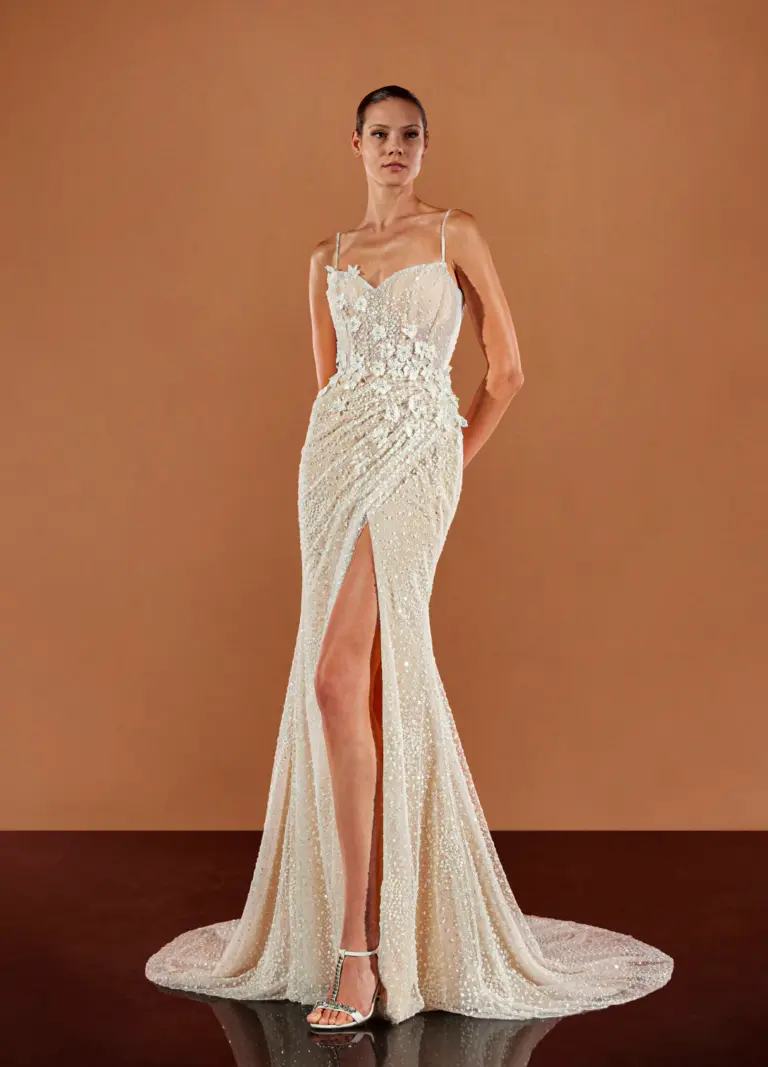 Boss Hochzeithaus Winsen Luhe Brautkleider Bremen Hamburg Lüneburg Hannover Stade Lübeck Buxtehude Pronovias Brautkleider Nidhi Niedersachsen (2)