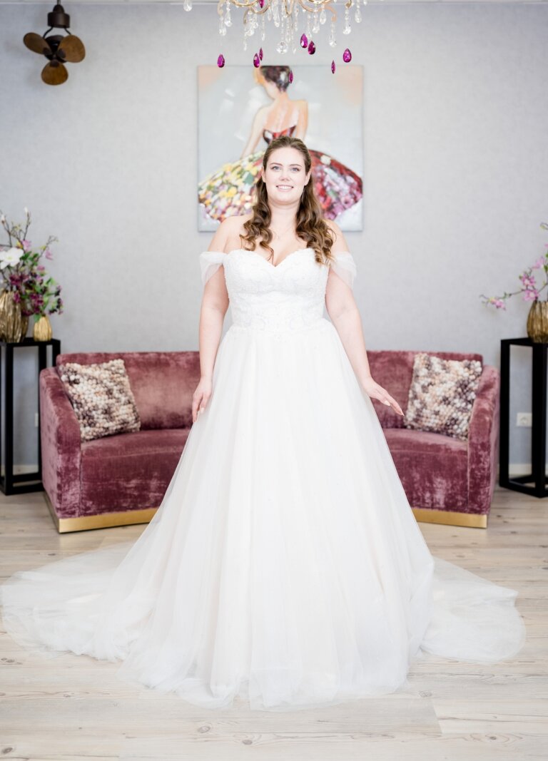 Boss Hochzeithaus Winsen Luhe Brautkleider Bremen Hamburg Lüneburg Hannover Stade Lübeck Buxtehude moderne Brautkleider Niedersachsen Glitzer Prinzessin (1)