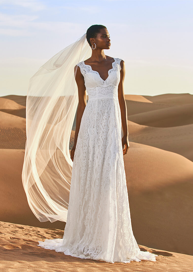 Pronovias Namib, tiefer Rückenausschnitt, Spitzenborte, V-Ausschnitt, Knopfleiste, transparenz im Rücken, fließende A-Linie, Vollspitze, Vintage/Boho,